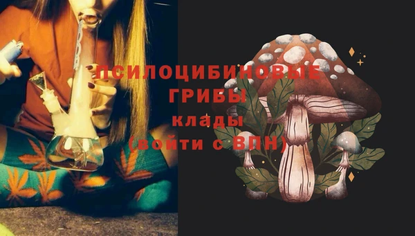 первитин Арсеньев