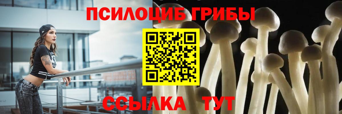 Галлюциногенные грибы мицелий  Галлюциногенные грибы Psilocybe  Вход с VPN  Новомосковск 