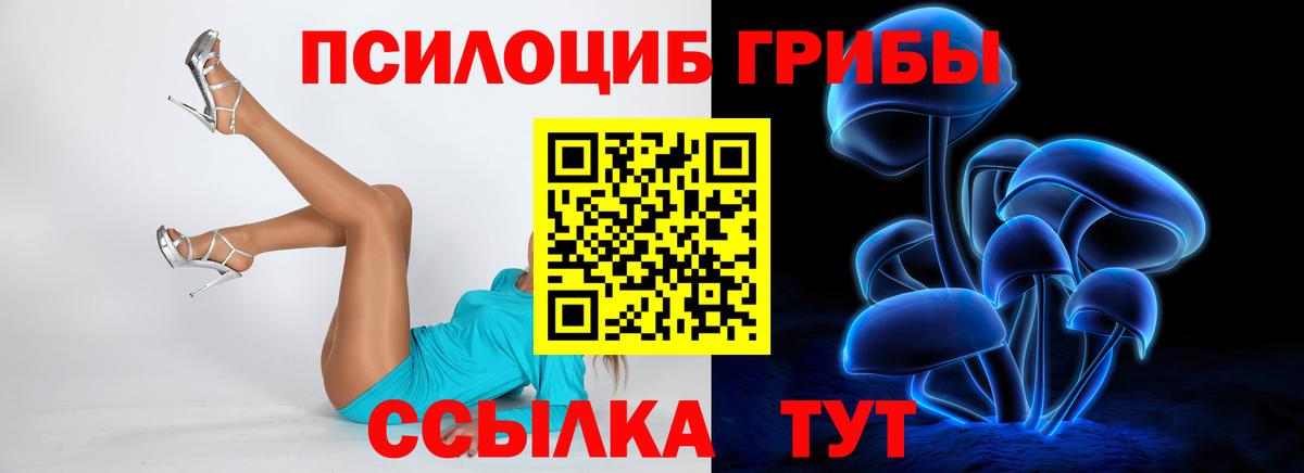Галлюциногенные грибы MAGIC MUSHROOMS Новомосковск
