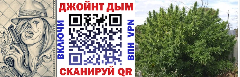 цена   Новомосковск  Конопля сатива 